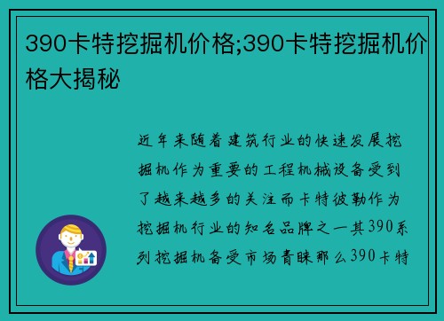 390卡特挖掘机价格;390卡特挖掘机价格大揭秘